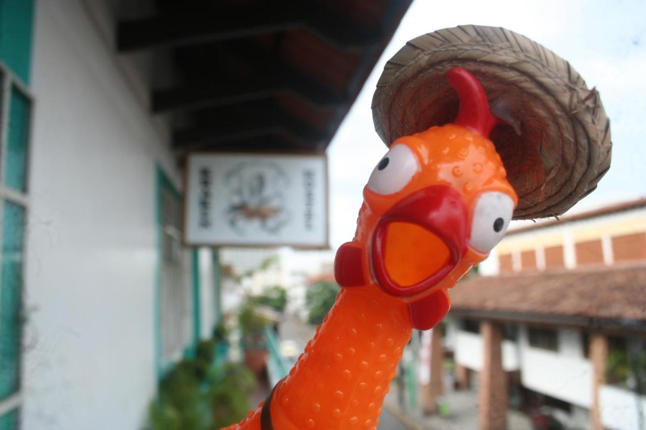 Casa Kraken Hostel Puerto Vallarta Exteriér fotografie