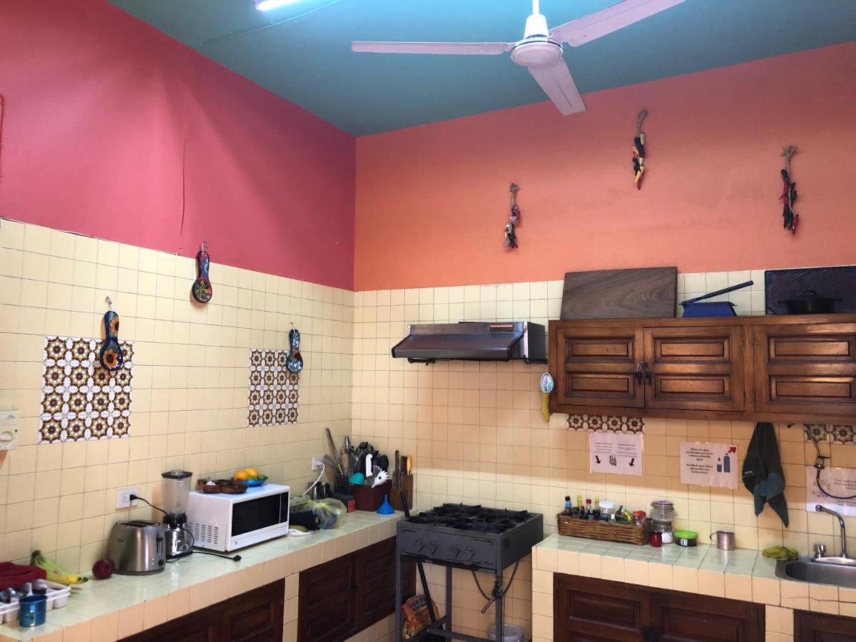 Casa Kraken Hostel Puerto Vallarta Exteriér fotografie