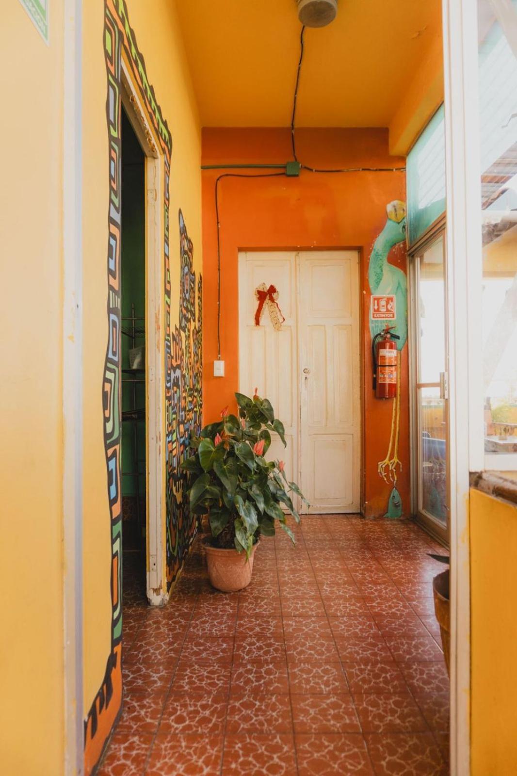 Casa Kraken Hostel Puerto Vallarta Exteriér fotografie
